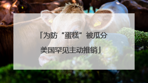 为防“蛋糕”被瓜分 美国罕见主动推销