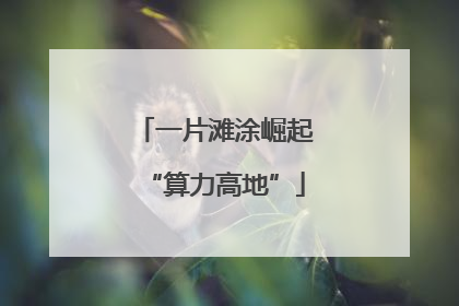 一片滩涂崛起“算力高地”