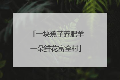 一块蕉芋养肥羊 一朵鲜花富全村