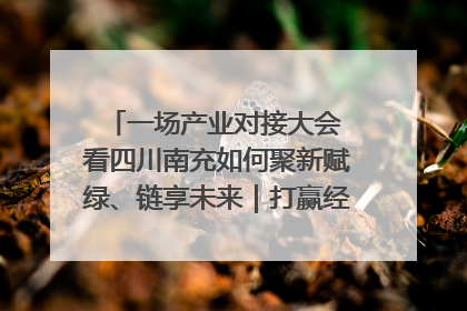 一场产业对接大会 看四川南充如何聚新赋绿、链享未来｜打赢经济发展翻身仗
