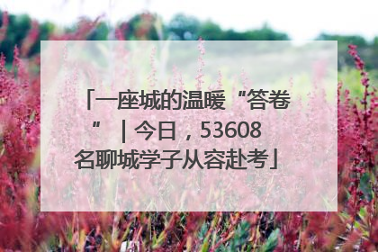 一座城的温暖“答卷”｜今日，53608名聊城学子从容赴考