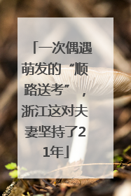 一次偶遇萌发的“顺路送考”，浙江这对夫妻坚持了21年