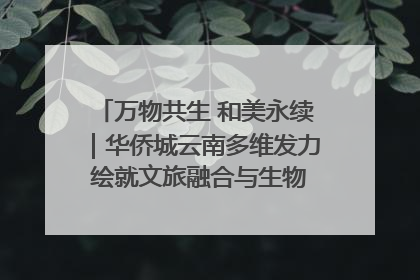 万物共生 和美永续｜华侨城云南多维发力 绘就文旅融合与生物多样性保护新图景