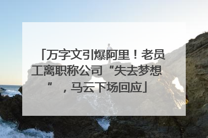 万字文引爆阿里！老员工离职称公司“失去梦想”，马云下场回应