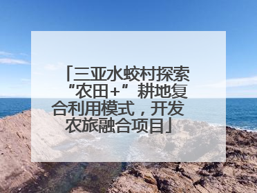 三亚水蛟村探索“农田+”耕地复合利用模式，开发农旅融合项目