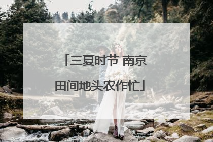 三夏时节 南京田间地头农作忙