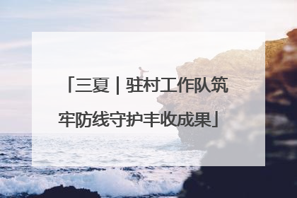 三夏｜驻村工作队筑牢防线守护丰收成果