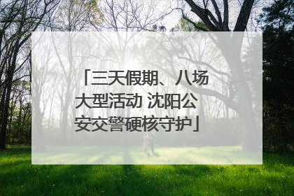 三天假期、八场大型活动 沈阳公安交警硬核守护