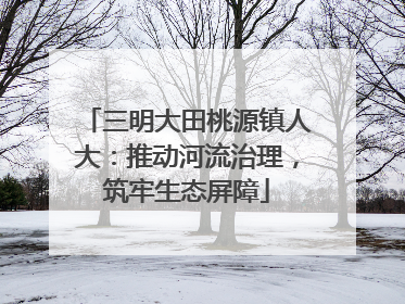 三明大田桃源镇人大：推动河流治理，筑牢生态屏障