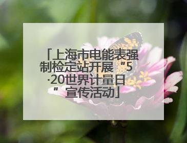 上海市电能表强制检定站开展“5·20世界计量日”宣传活动
