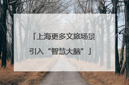 上海更多文旅场景引入“智慧大脑”