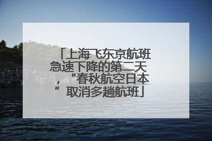 上海飞东京航班急速下降的第二天，“春秋航空日本”取消多趟航班