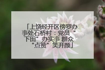 上饶经开区傍罗办事处石桥村：党员“下田”办实事 群众“点赞”笑开颜