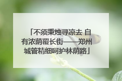 不须秉烛寻凉去 自有浓荫覆长街——郑州城管精细呵护林荫路