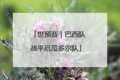 世预赛｜巴西队战平厄瓜多尔队