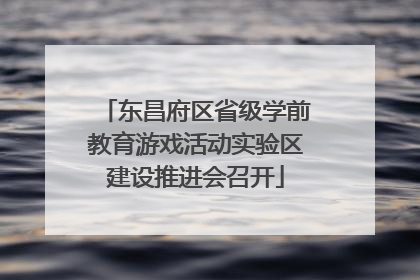 东昌府区省级学前教育游戏活动实验区建设推进会召开