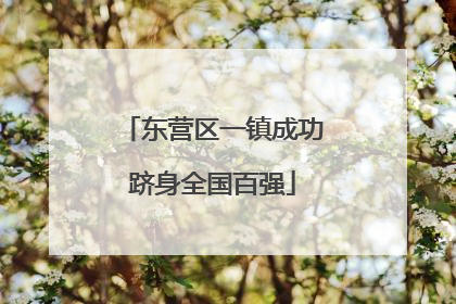 东营区一镇成功跻身全国百强
