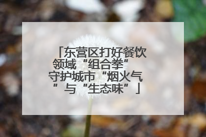 东营区打好餐饮领域“组合拳” 守护城市“烟火气”与“生态味”