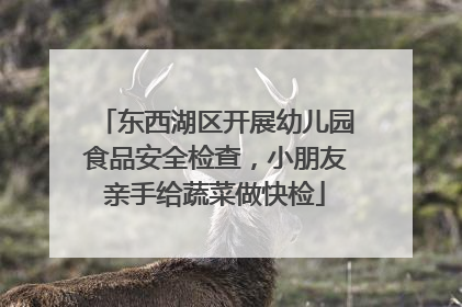 东西湖区开展幼儿园食品安全检查，小朋友亲手给蔬菜做快检