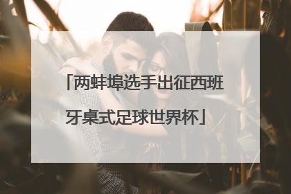 两蚌埠选手出征西班牙桌式足球世界杯
