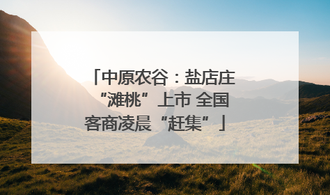 中原农谷：盐店庄“滩桃”上市 全国客商凌晨“赶集”