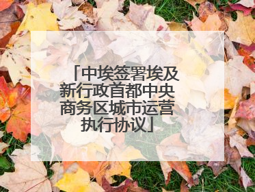 中埃签署埃及新行政首都中央商务区城市运营执行协议