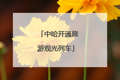 中哈开通旅游观光列车