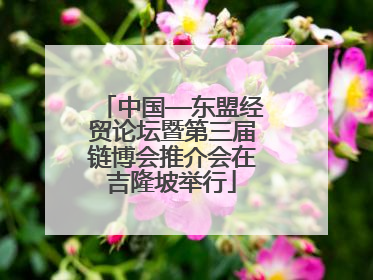 中国—东盟经贸论坛暨第三届链博会推介会在吉隆坡举行