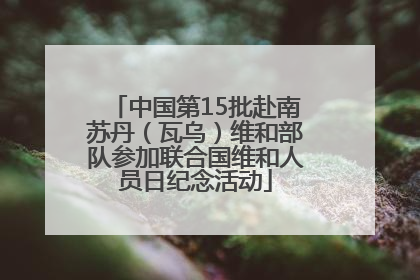 中国第15批赴南苏丹（瓦乌）维和部队参加联合国维和人员日纪念活动