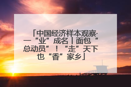 中国经济样本观察·一“业”成名丨面包“总动员”！“走”天下也“香”家乡