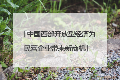 中国西部开放型经济为民营企业带来新商机