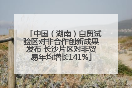 中国（湖南）自贸试验区对非合作创新成果发布 长沙片区对非贸易年均增长141%