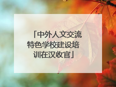 中外人文交流特色学校建设培训在汉收官