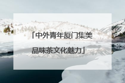 中外青年厦门集美品味茶文化魅力