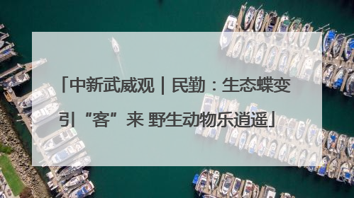 中新武威观｜民勤：生态蝶变引“客”来 野生动物乐逍遥
