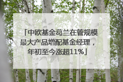 中欧基金葛兰在管规模最大产品增配基金经理，年初至今涨超11%