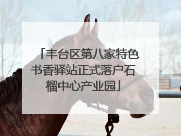 丰台区第八家特色书香驿站正式落户石榴中心产业园