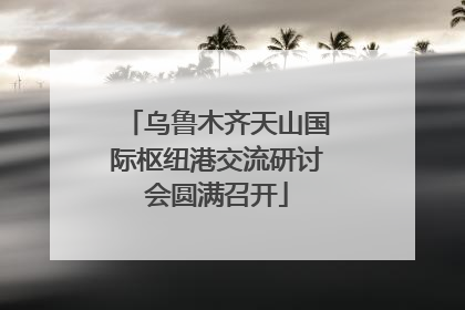 乌鲁木齐天山国际枢纽港交流研讨会圆满召开