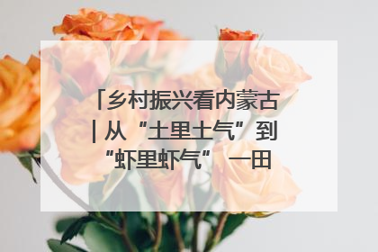 乡村振兴看内蒙古｜从“土里土气”到“虾里虾气” 一田双收模式火出圈