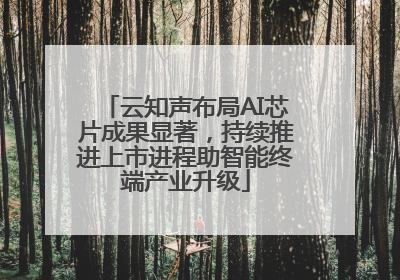 云知声布局AI芯片成果显著，持续推进上市进程助智能终端产业升级