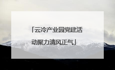云冷产业园党建活动聚力清风正气