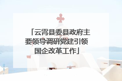 云霄县委县政府主要领导调研党建引领国企改革工作