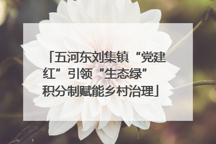 五河东刘集镇“党建红”引领“生态绿” 积分制赋能乡村治理