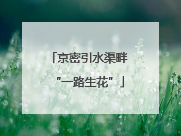 京密引水渠畔“一路生花”