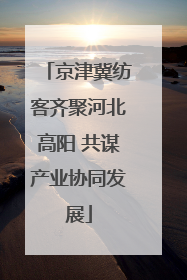 京津冀纺客齐聚河北高阳 共谋产业协同发展