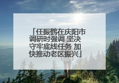 任振鹤在庆阳市调研时强调 坚决守牢底线任务 加快推动老区振兴