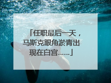 任职最后一天，马斯克眼角淤青出现在白宫……
