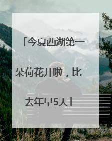 今夏西湖第一朵荷花开啦，比去年早5天