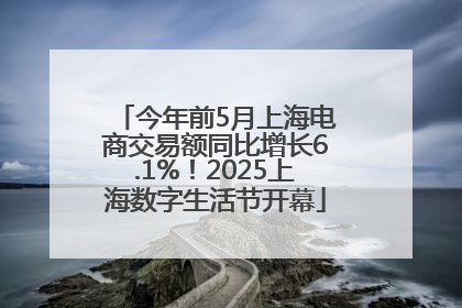 今年前5月上海电商交易额同比增长6.1%！2025上海数字生活节开幕
