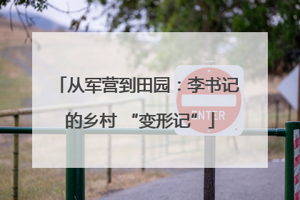 从军营到田园：李书记的乡村 “变形记”